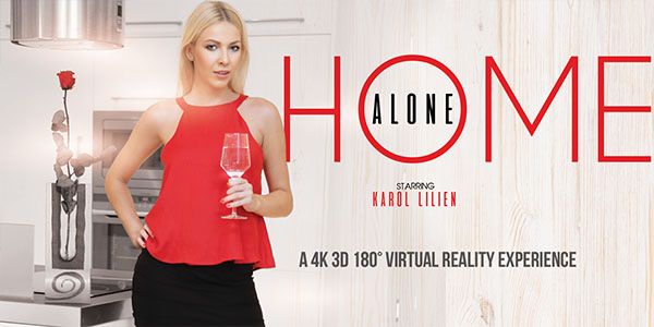 欧美VR电影 VRB010 Home Alone-小鬼当家-VR资源网